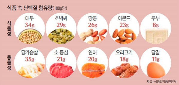 단백질이 많은 음식
출처 : 식품의약품안전처
