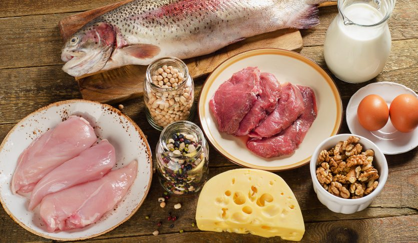 단백질 식단 예제
