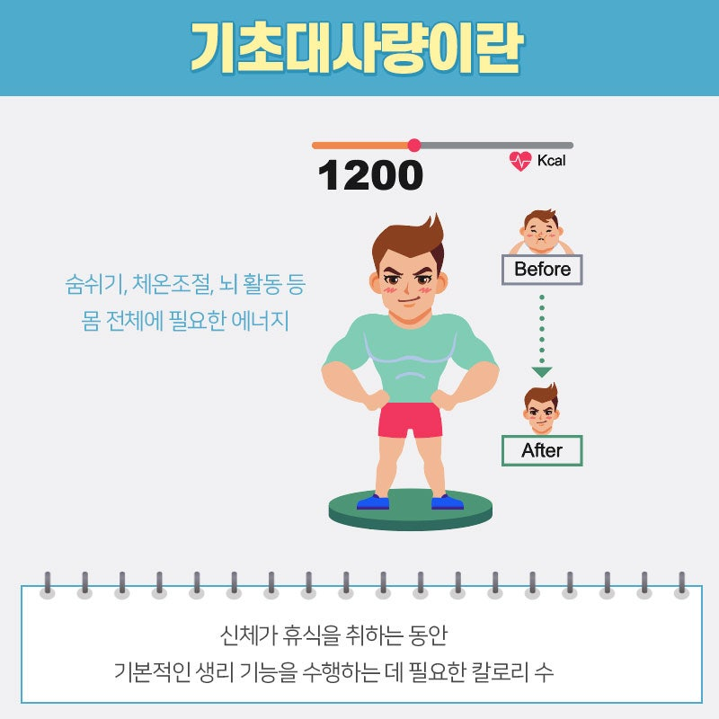 기초대사량을 설명하는 사진
